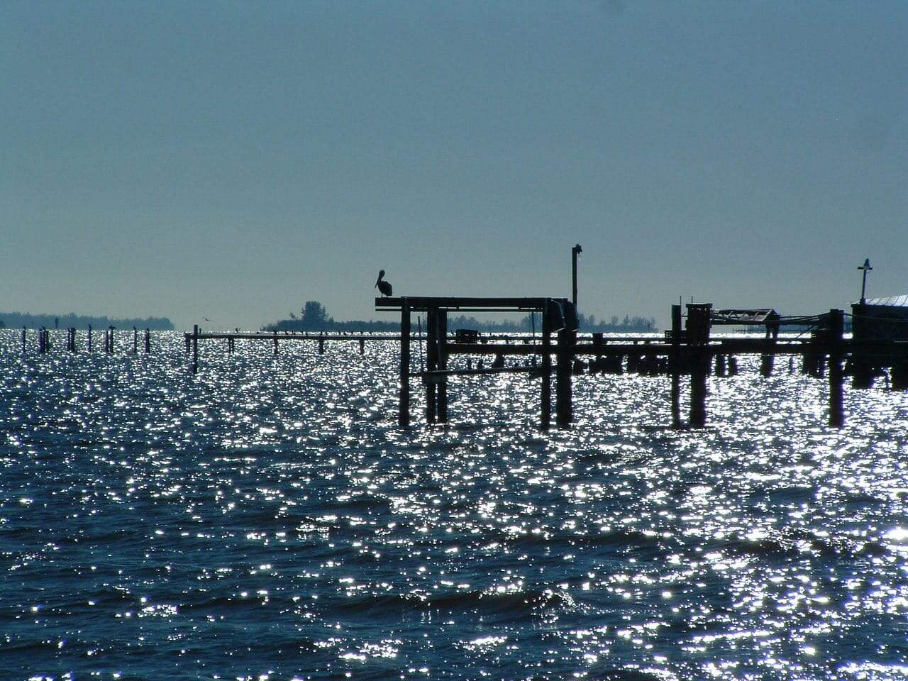 Peaceful view of the Indian River from Camelot RV Park’s dock with a bird perched above the shimmering water
